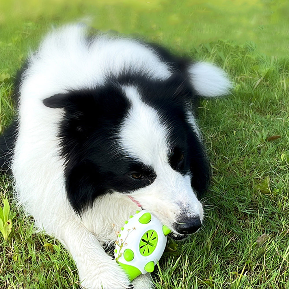 Interactive Cleaning Toy For Dogs(Cleans Teeth)